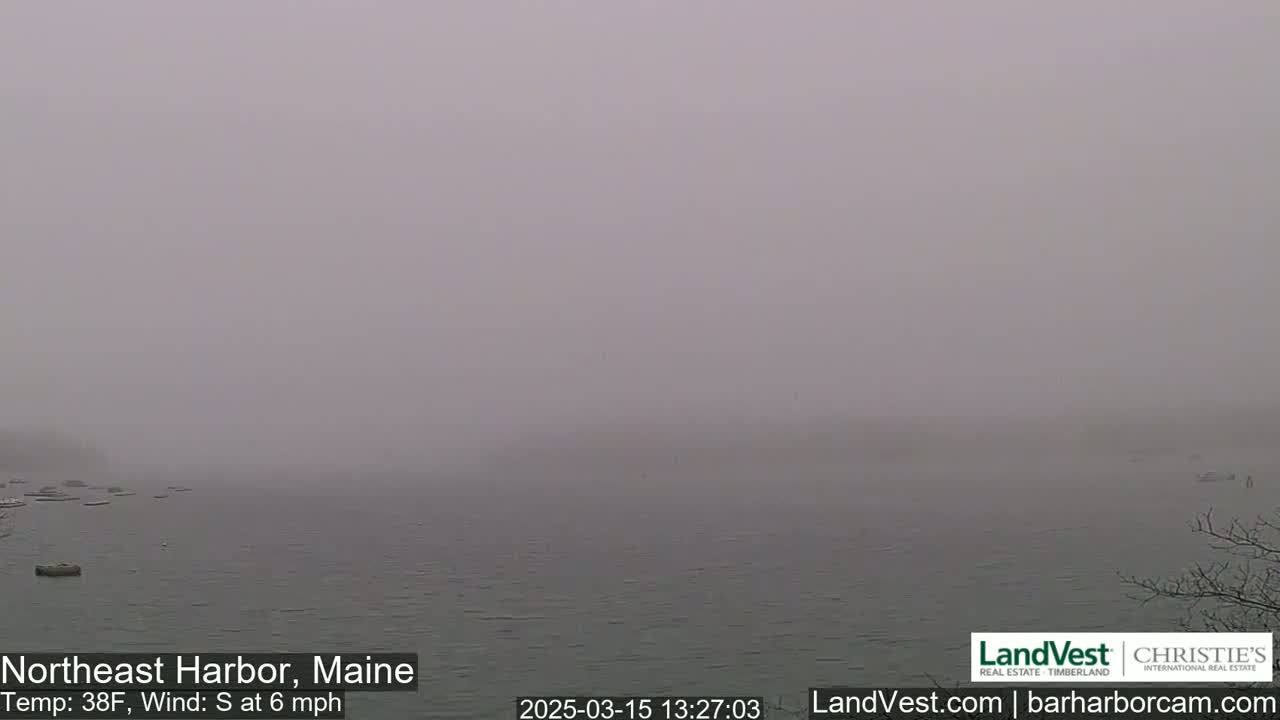 A foggy, gray day shows a calm body of water with several dark objects, possibly boats, scattered across the surface.