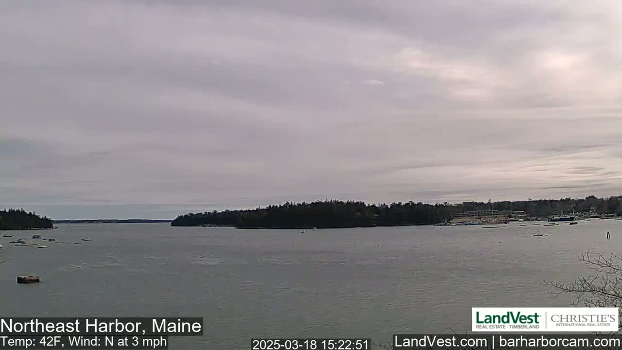 A calm body of water, under an overcast sky, is surrounded by dark green trees and a few small boats.