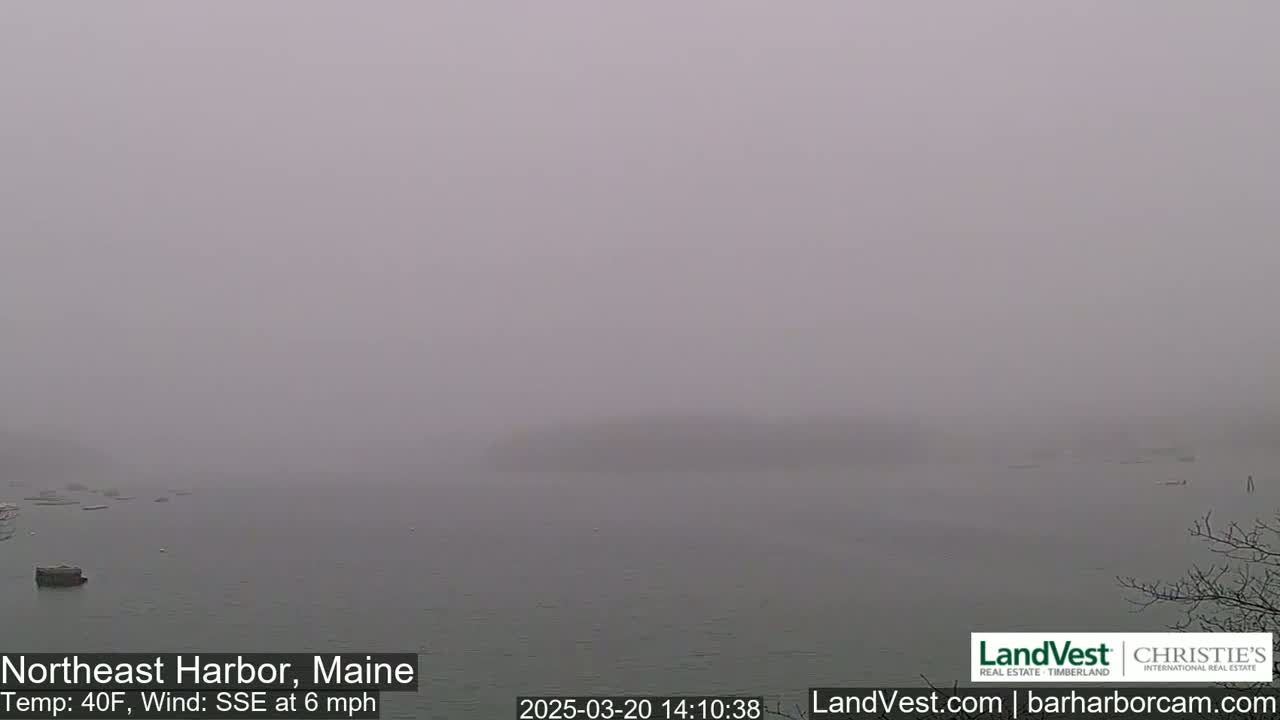 A foggy body of water is visible, with a few indistinct objects floating on its surface.