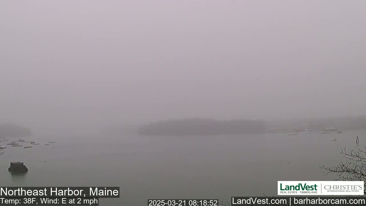 A foggy harbor scene shows a body of water with a small island and several boats visible in the distance.