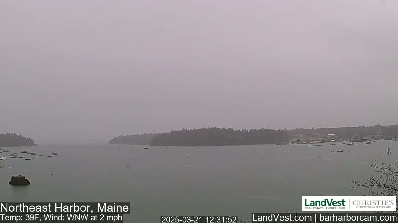 A hazy, overcast view of a calm harbor with several boats and a tree-lined shoreline in the distance.