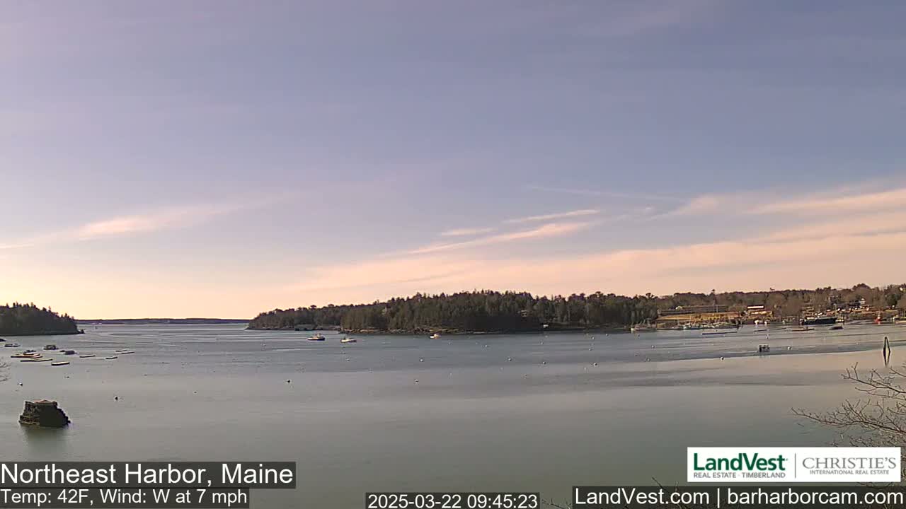 A calm harbor with several boats and tree-lined shores under a mostly clear, light-blue sky.