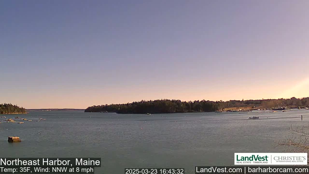 A calm harbor with a few boats is surrounded by trees under a clear, light-blue sky.