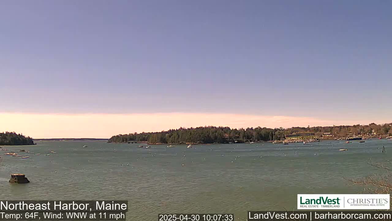 A calm harbor with several small boats is seen under a clear, light-blue sky.