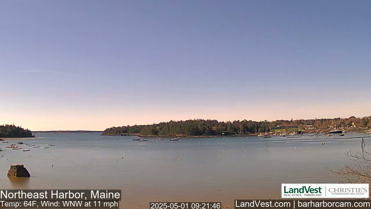 A calm harbor with scattered boats under a clear, light blue sky.