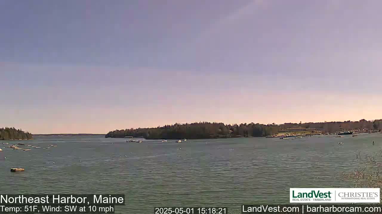 A calm body of water, under a clear light-blue sky, shows several small boats and wooded shorelines.