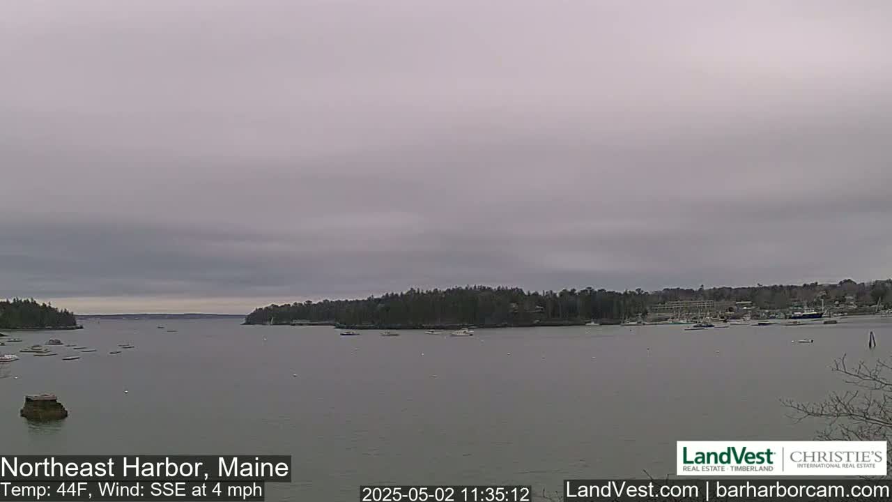 A calm body of water with several boats is seen under an overcast sky.