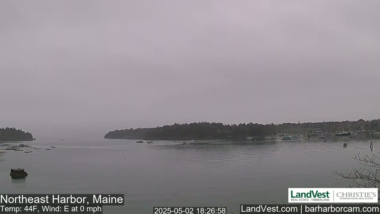 A calm, overcast harbor scene shows a body of water with several boats and small islands, under a gray sky.