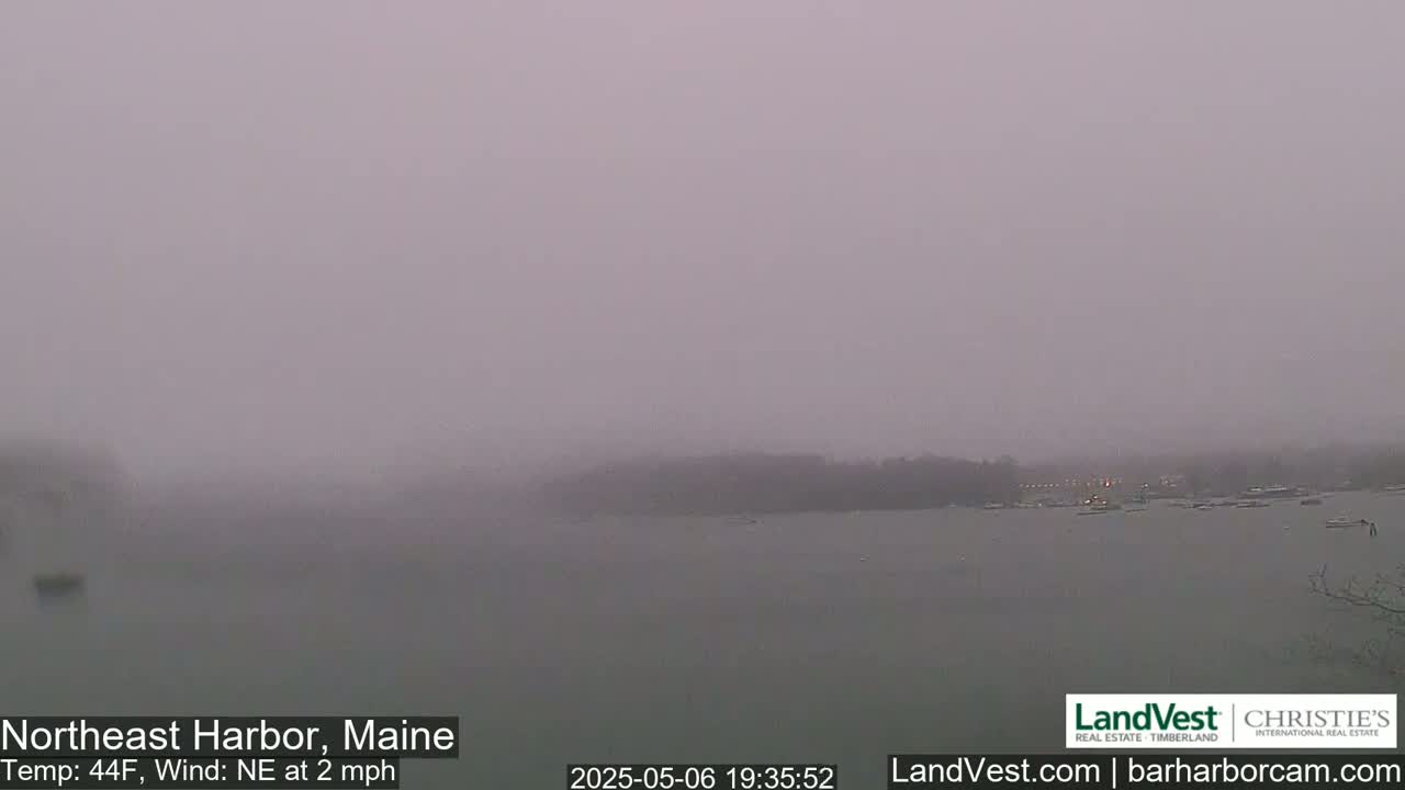 A foggy view of a calm body of water with a distant shoreline under a gray sky.