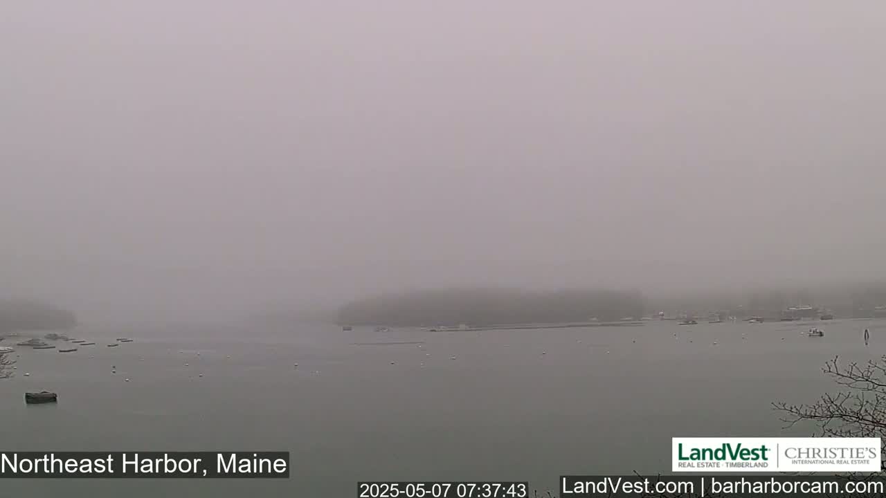 A foggy harbor scene shows a calm body of water with several boats and a shoreline barely visible in the distance.