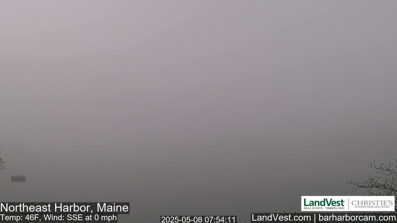 A thick fog obscures the view of a calm, waterfront scene.