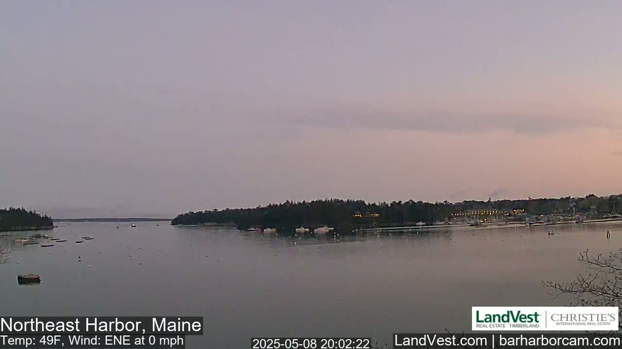 A calm harbor at dusk, with a few boats scattered across the water and trees lining the shore under a pale pink and gray sky.