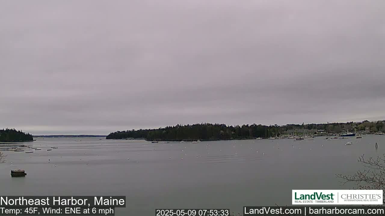 A calm, overcast harbor scene shows a body of water with several boats and buoys, surrounded by dark green trees on both sides of the inlet under a gray sky.