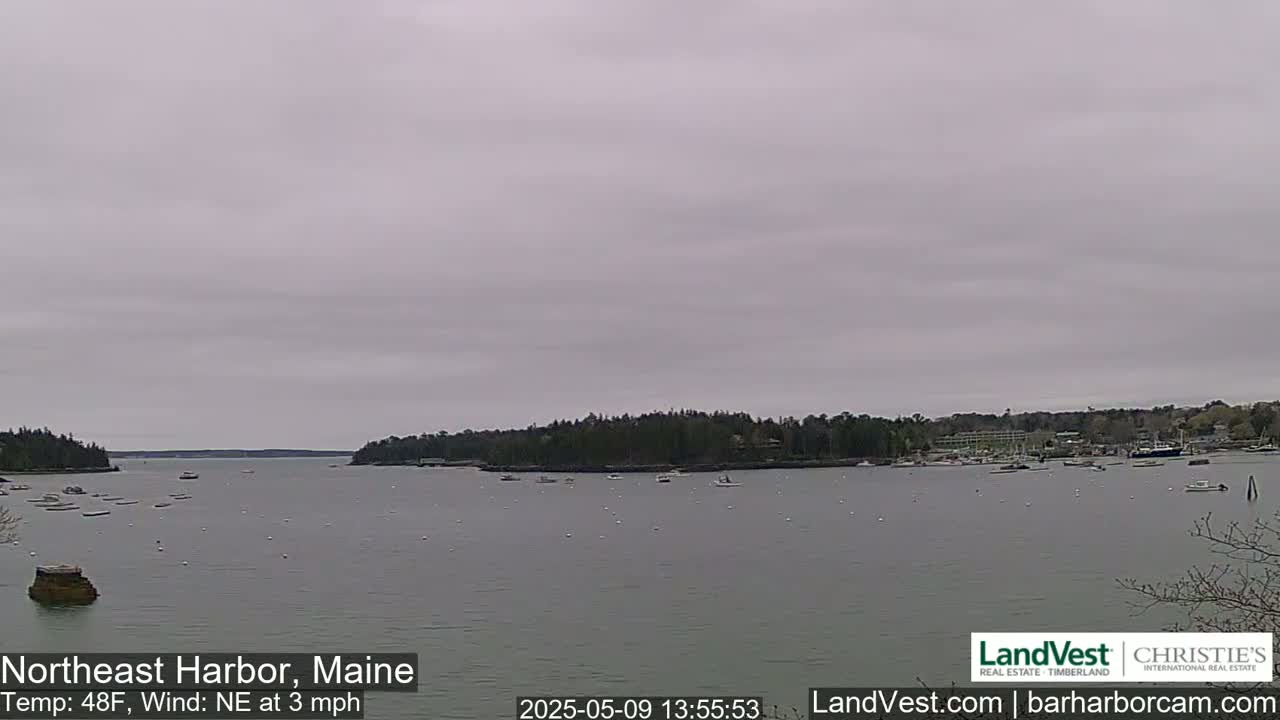 A calm harbor with numerous boats is seen under an overcast sky.
