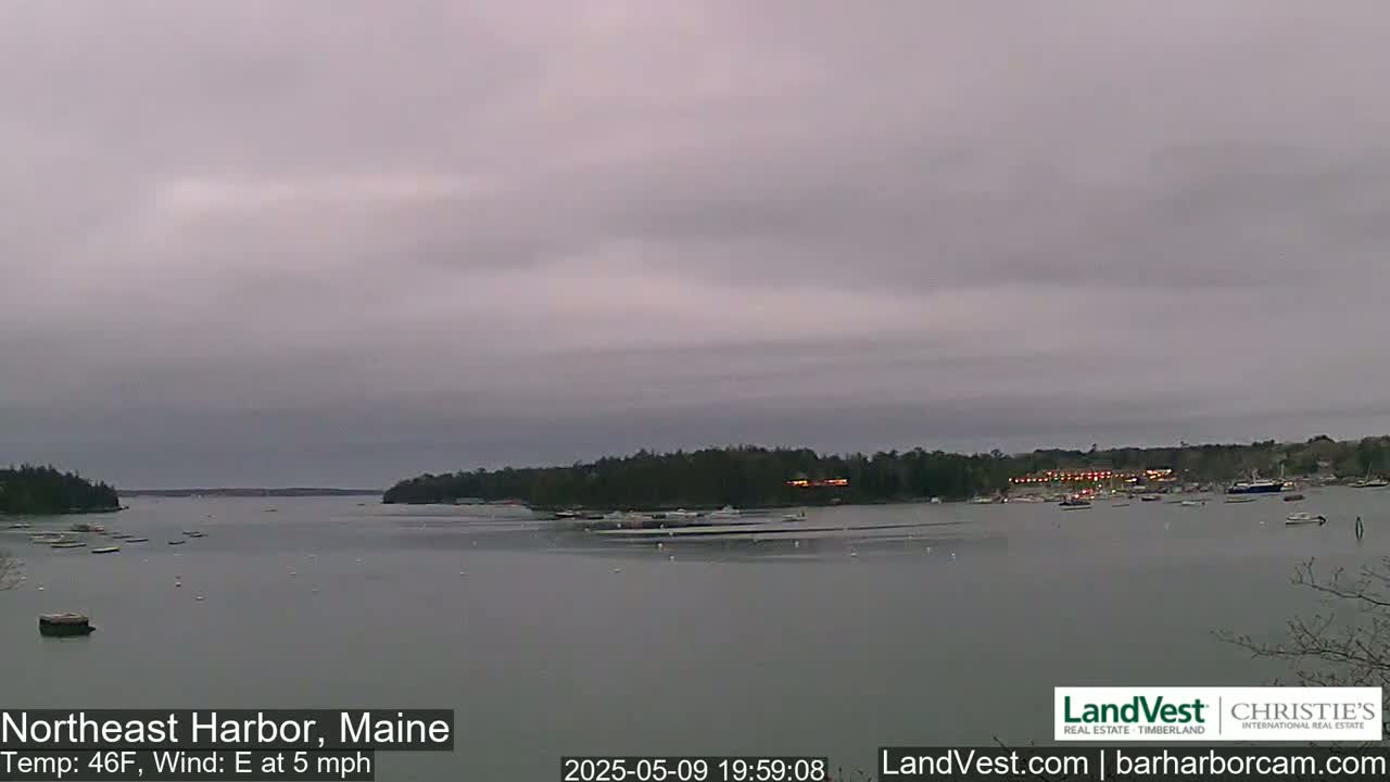 A calm harbor with boats and a shoreline of dark trees under an overcast sky.