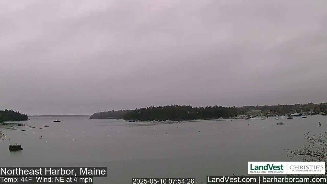 A calm harbor with numerous boats is seen under an overcast sky.