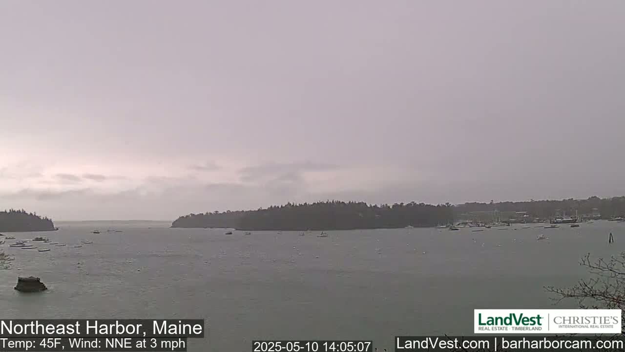 A calm harbor with several boats is seen under an overcast sky.