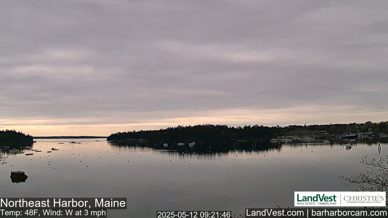 A calm harbor with several boats is seen under a cloudy, pale sky.
