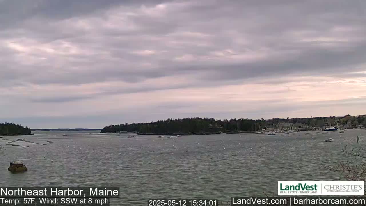 A calm harbor with several boats, under an overcast sky.