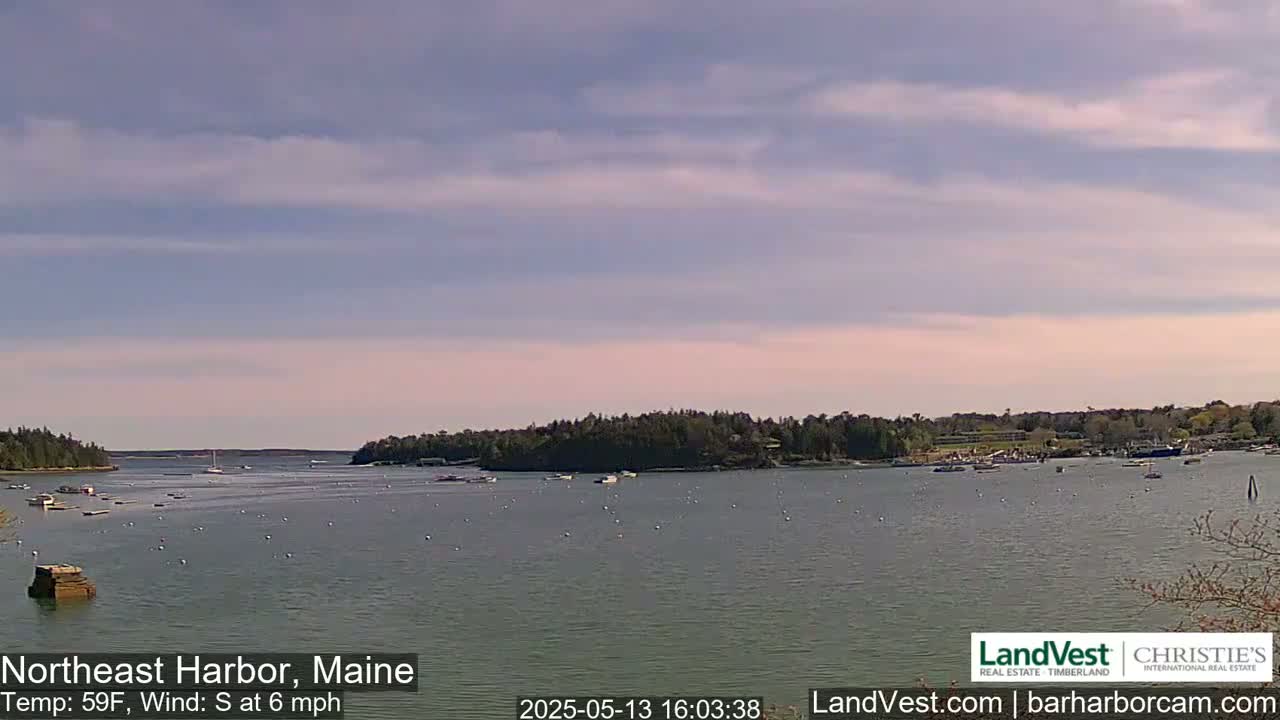 A calm harbor with numerous boats, under a mostly clear sky with a slight pink hue near the horizon.