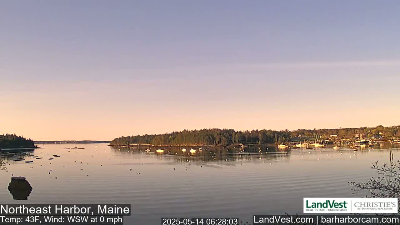 A calm harbor at sunrise, with numerous boats moored and scattered buoys in the water, under a clear, pale sky.