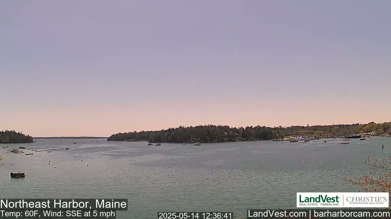 A calm body of water, under a pale sky, shows several small boats scattered across its surface and tree-lined shores in the distance.