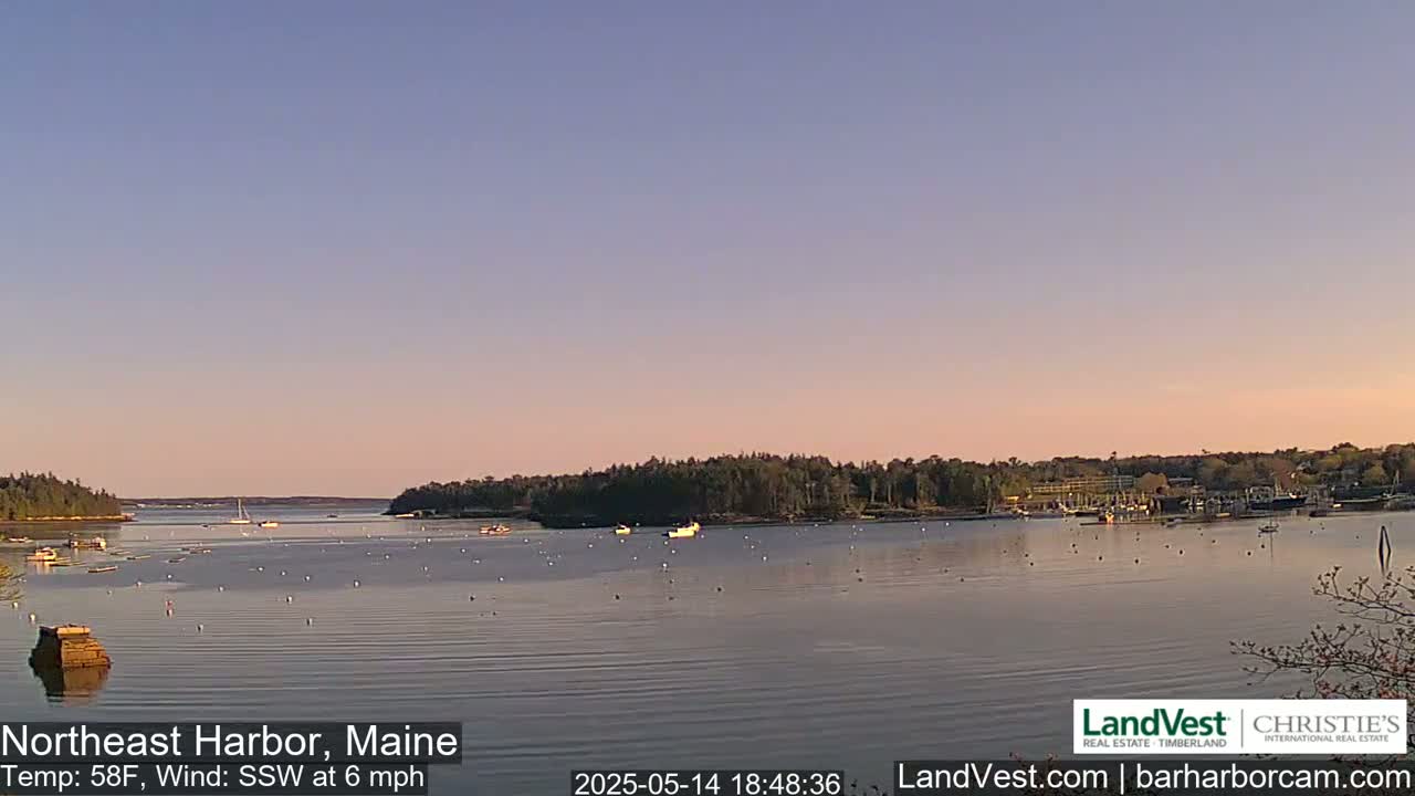 A calm harbor at sunset, dotted with boats, under a pale pink and blue sky.