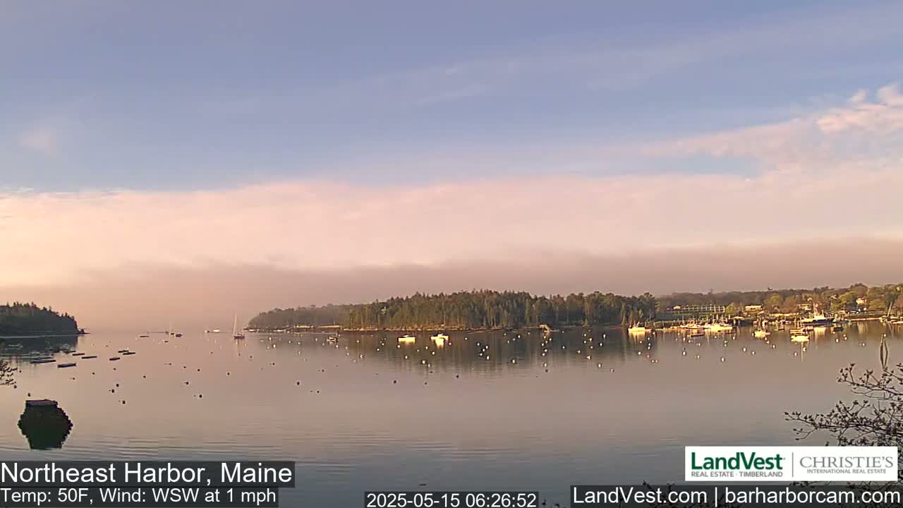 A calm harbor at sunrise with numerous boats at anchor, under a pale pink and blue sky.