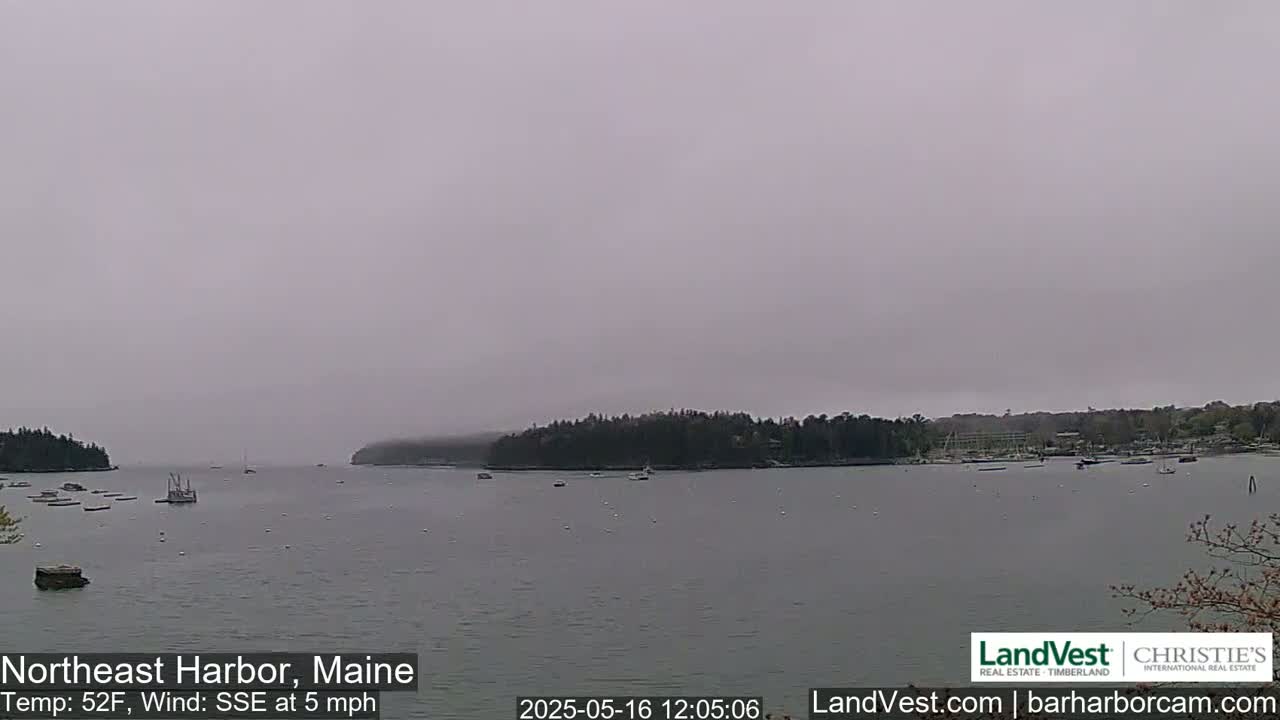 A calm harbor with several boats is shrouded in a hazy, overcast sky under a 52°F temperature with a 5 mph southeasterly wind.