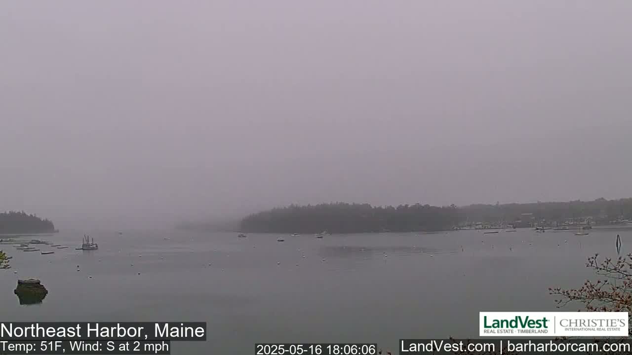 A foggy harbor scene shows calm water with a few boats, a shoreline with dark trees, and a hazy sky.