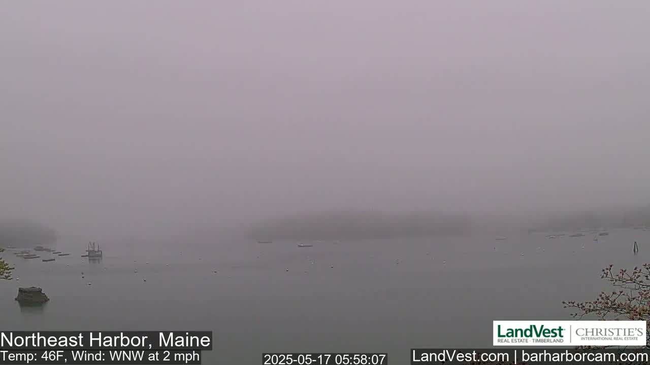 A foggy harbor scene shows several boats and a shoreline under a gray sky.