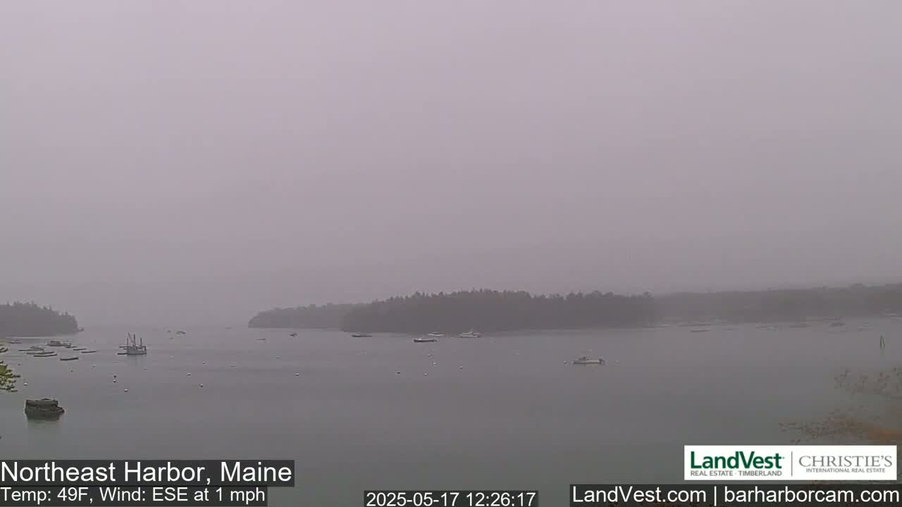 A hazy, overcast harbor scene shows several boats scattered across calm water, with wooded shores visible in the distance.