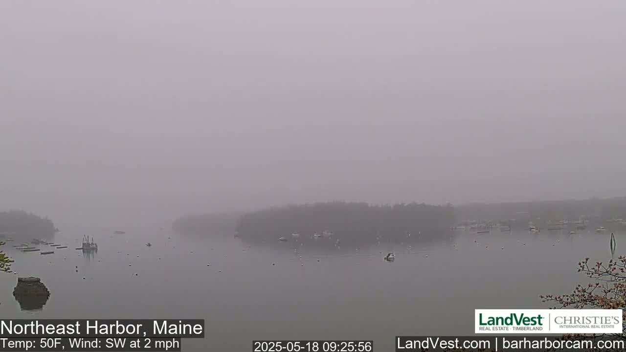 A foggy harbor scene shows a calm body of water with several boats and a small island in the distance.