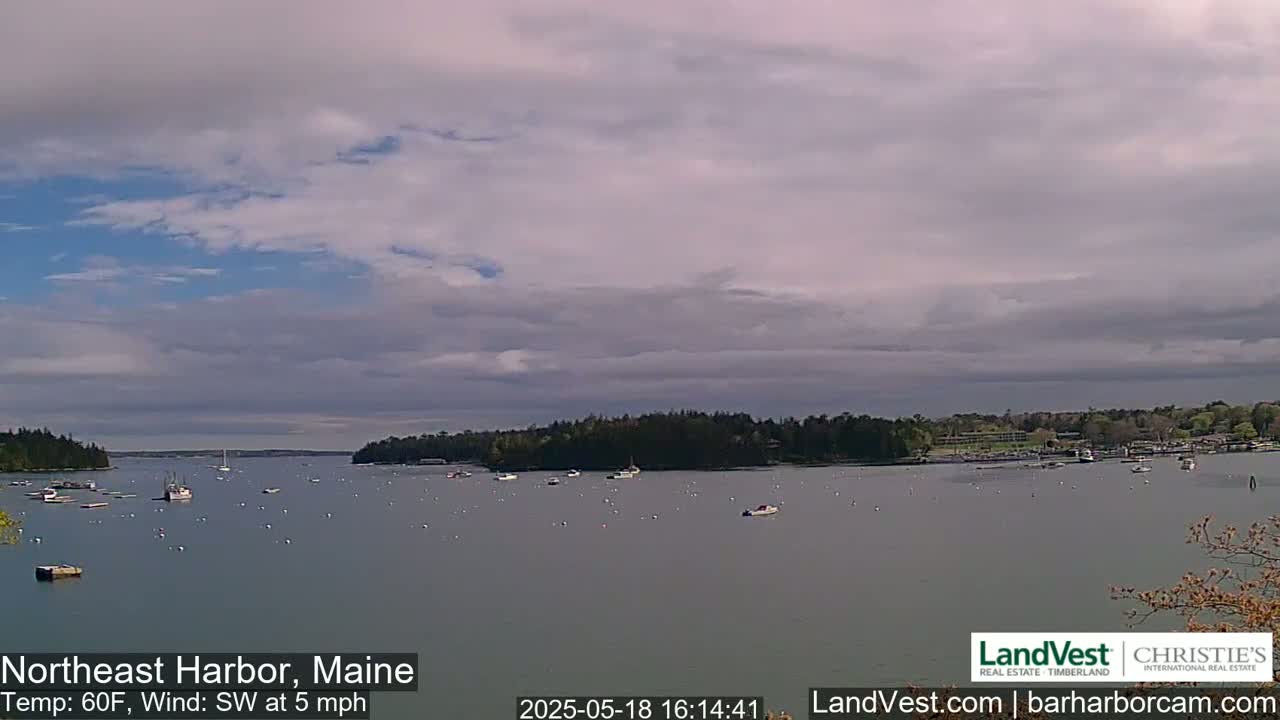 A calm harbor with numerous boats under a partly cloudy sky, with a southwest wind blowing at 5 mph.