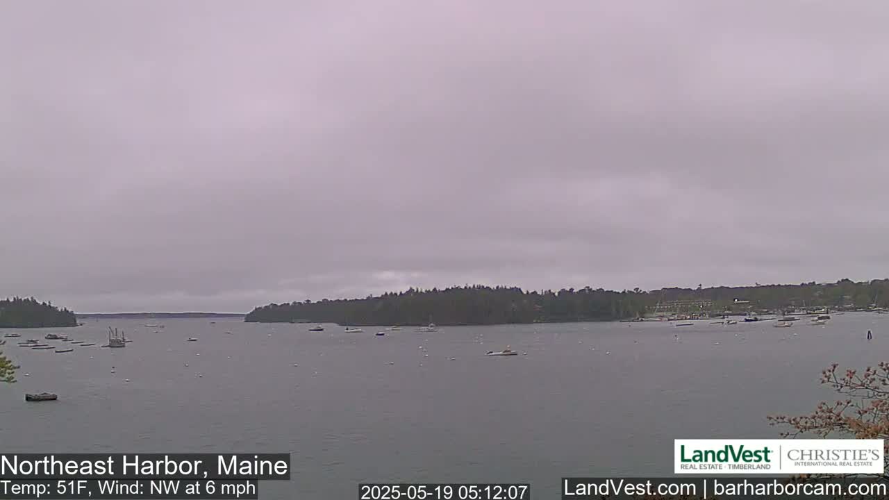 A calm harbor with numerous boats under an overcast sky.