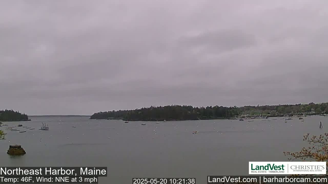 A calm, overcast day shows a harbor with several boats and a shoreline of dark green trees.