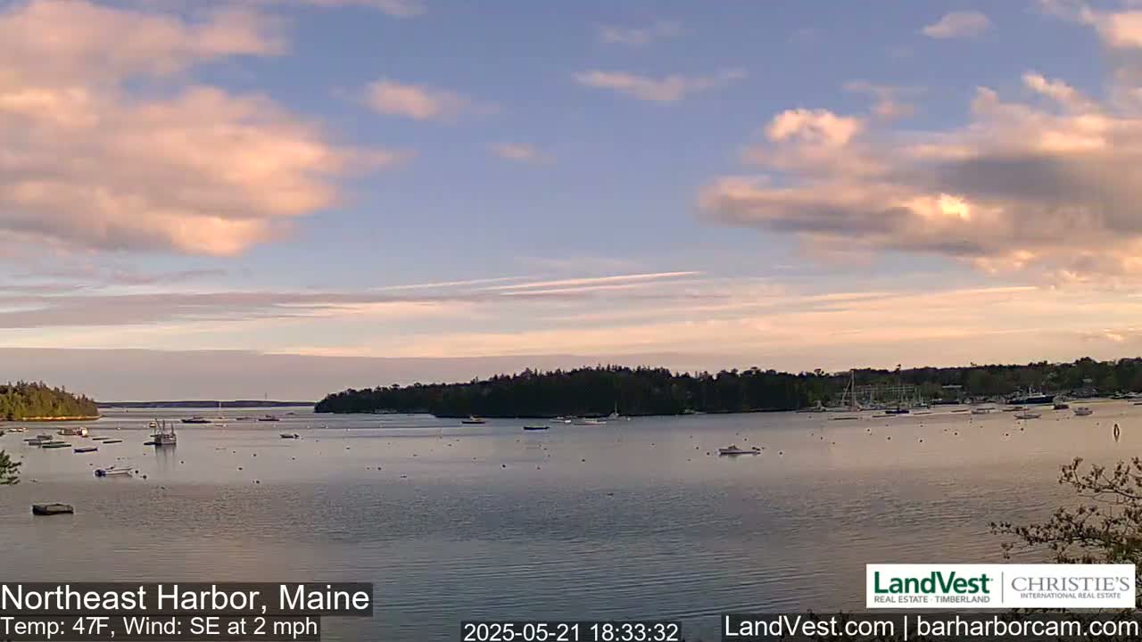 A calm harbor with numerous boats is visible under a partly cloudy, pale pink and blue sky, with a gentle southeast wind.