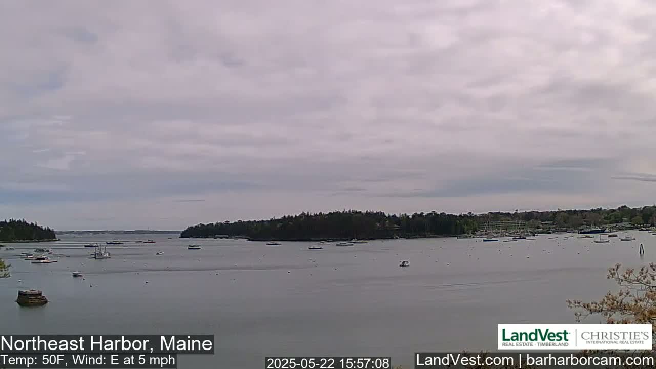 A calm harbor with numerous boats, under a mostly cloudy sky, with an easterly wind at 5 mph and a temperature of 50°F.