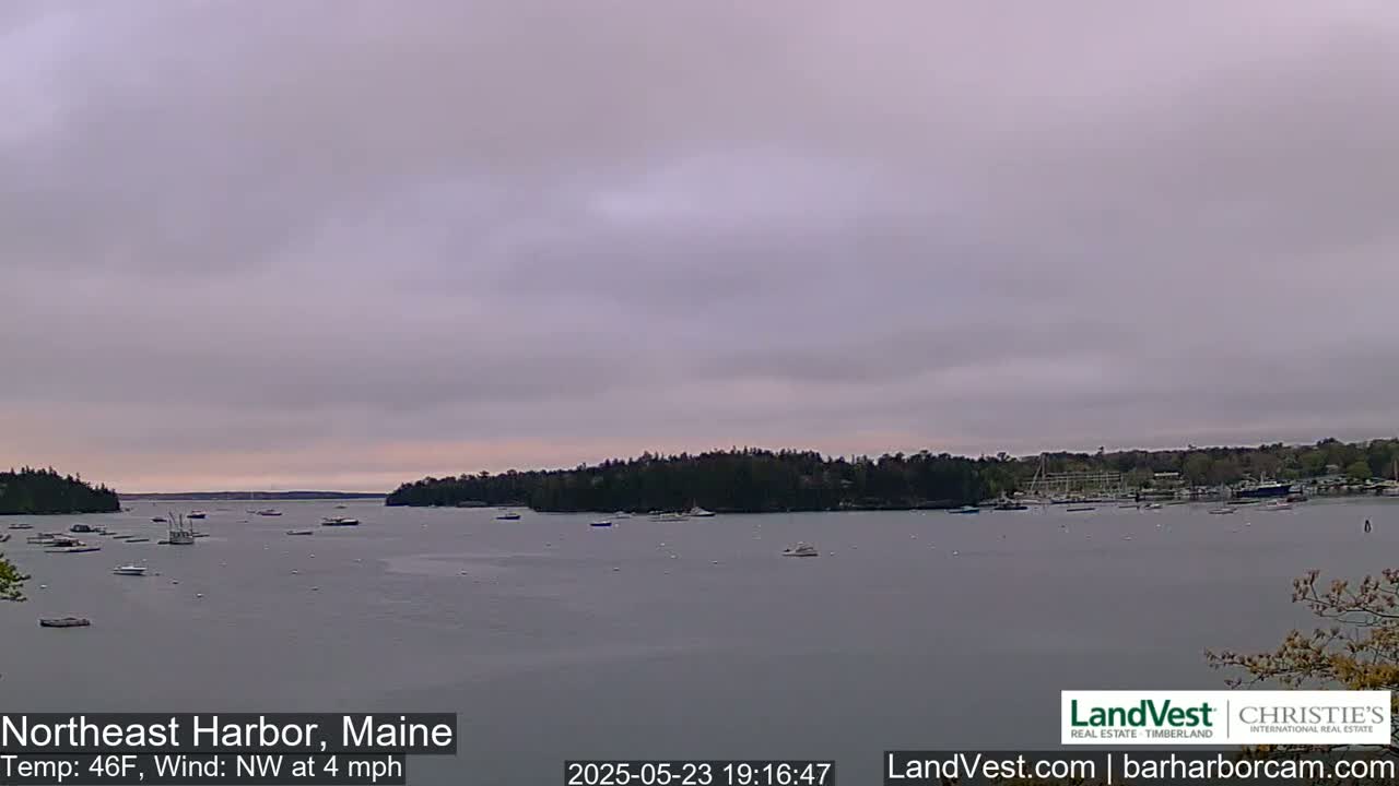 A calm harbor with numerous boats, under a cloudy, overcast sky.