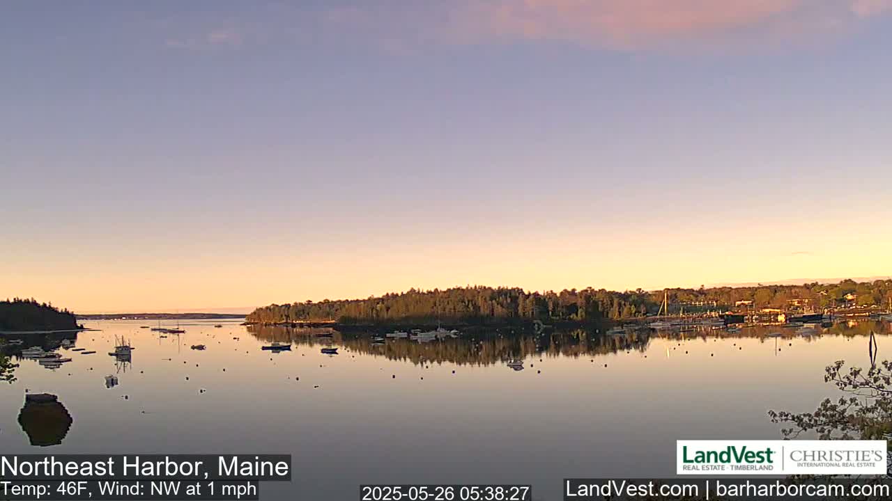 A calm harbor with numerous boats at dawn under a pale pink and orange sky.