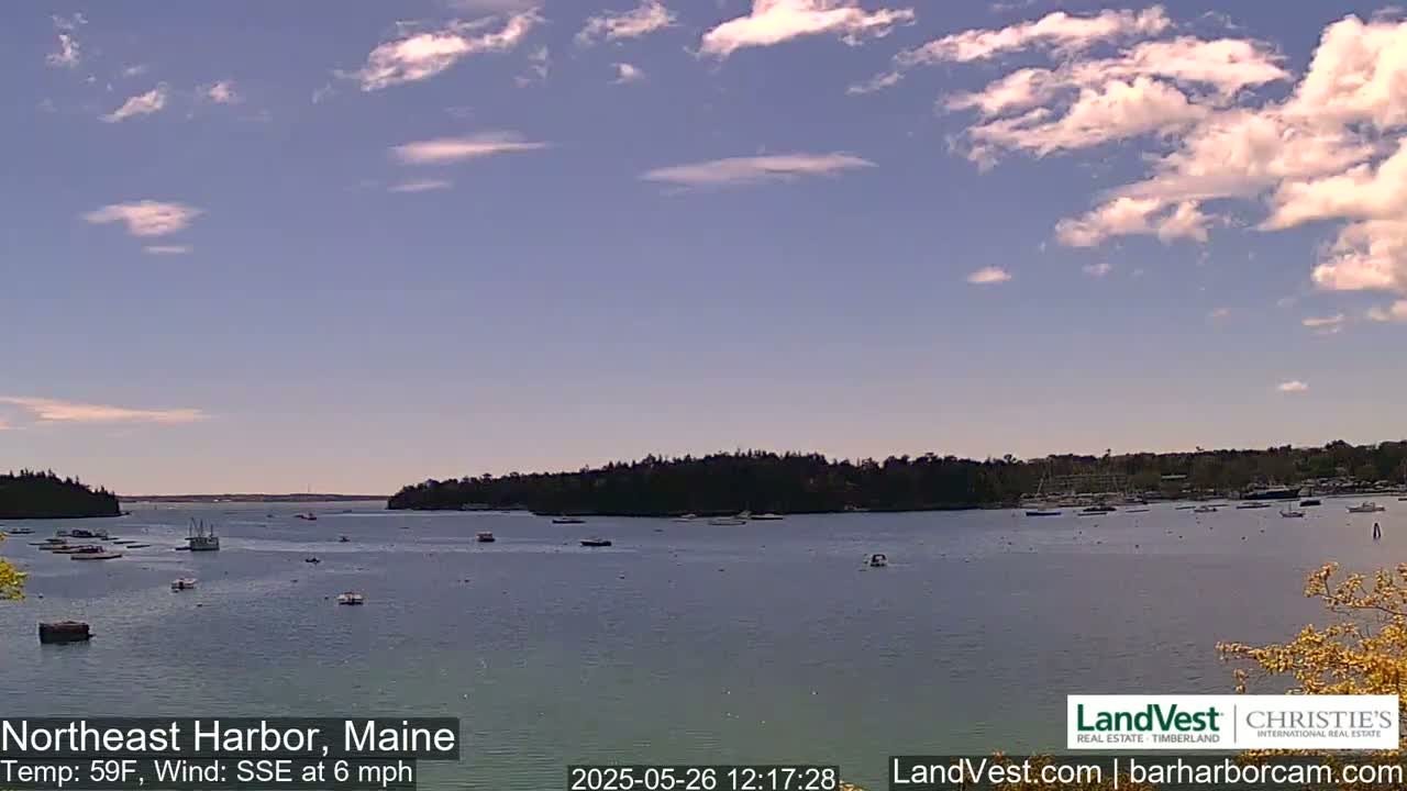 A partly cloudy sky over a calm harbor dotted with several boats, under a light SSE wind.