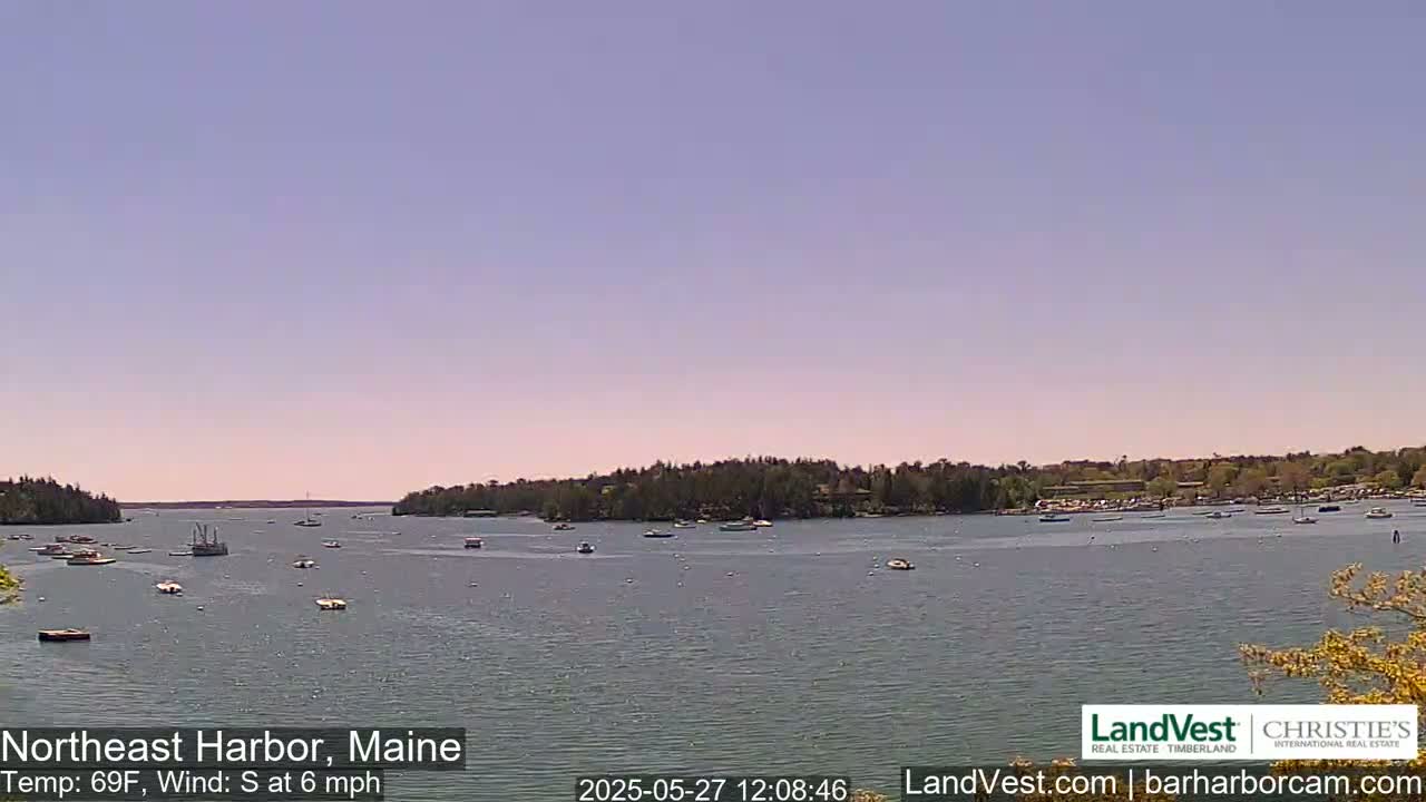 A calm harbor with numerous boats, under a clear, light-blue sky, has a gentle south wind.