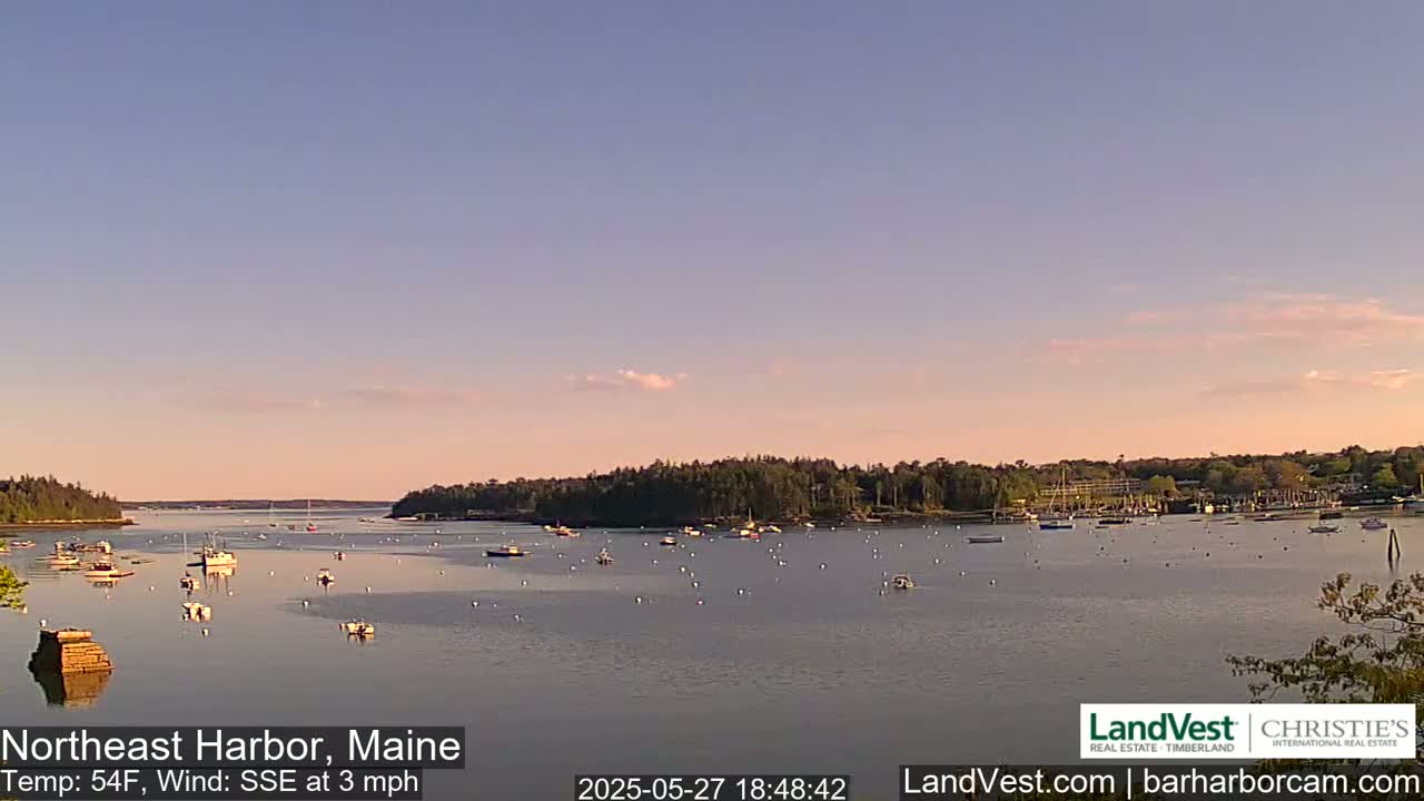 A calm bay with numerous boats at sunset, under a pale pink sky.