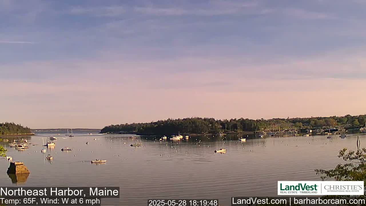 A calm harbor with numerous boats, under a partly cloudy, pale pink and blue sky.