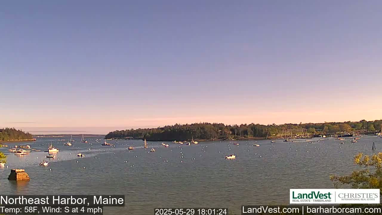 A calm harbor with numerous boats is seen under a clear, light-pink evening sky.