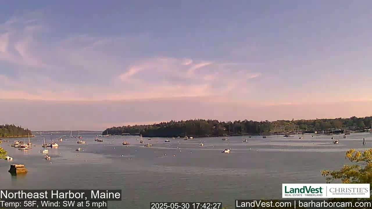 A calm harbor filled with numerous boats under a partly cloudy, pale sky.