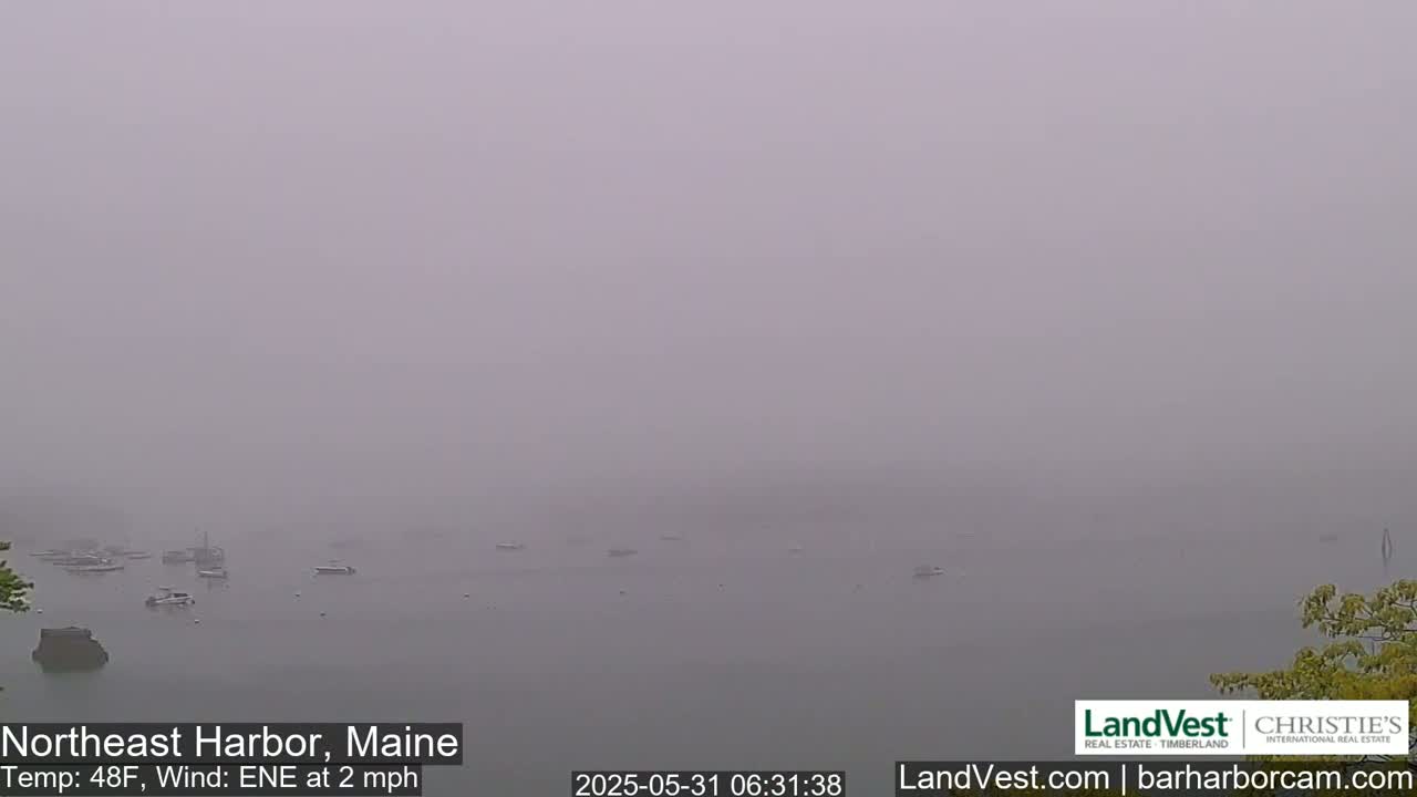 A foggy harbor scene shows numerous boats at anchor on a calm body of water.