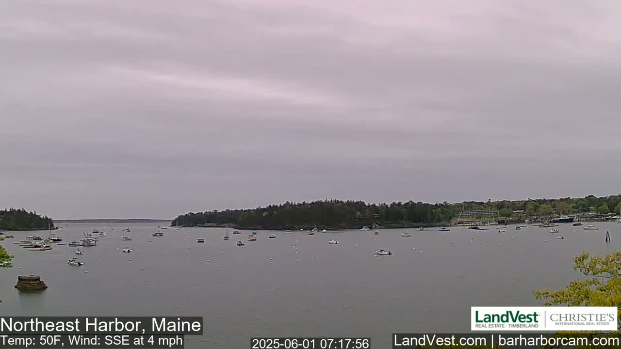 A calm harbor with numerous boats is seen under an overcast sky.