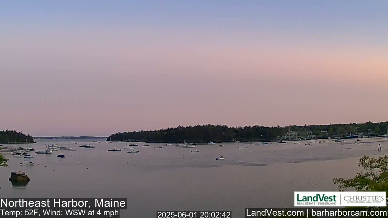 A calm harbor with numerous boats at sunset under a pale pink and purple sky.