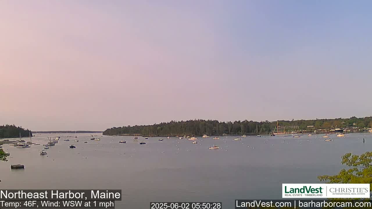 A calm harbor with numerous boats is seen under a pale, pinkish sky.